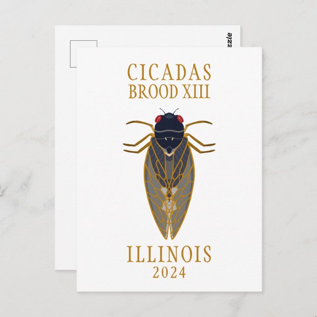 Cicada Brood XIII ILLINOIS 2024 Custom Text Postcard (Front/Back)