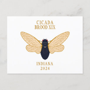 Cicada Brood XIX INDIANA 2024 Custom Text Postcard