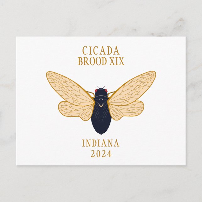 Cicada Brood XIX INDIANA 2024 Custom Text Postcard (Front)