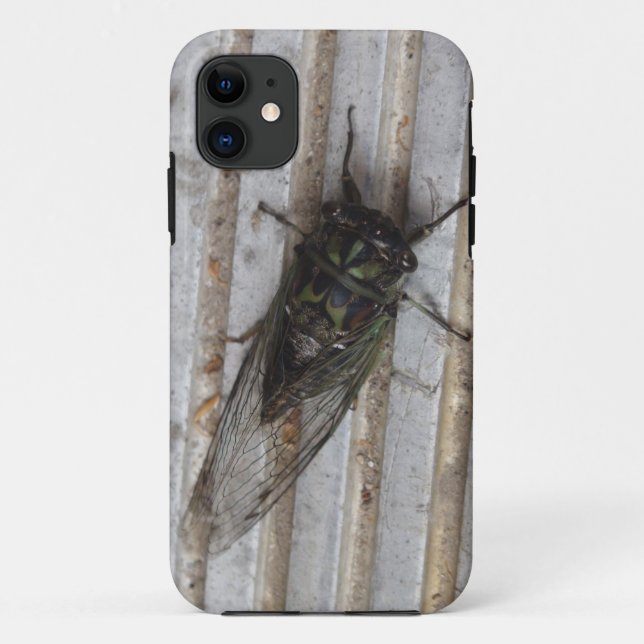Cicada bug on your phone case (Back)