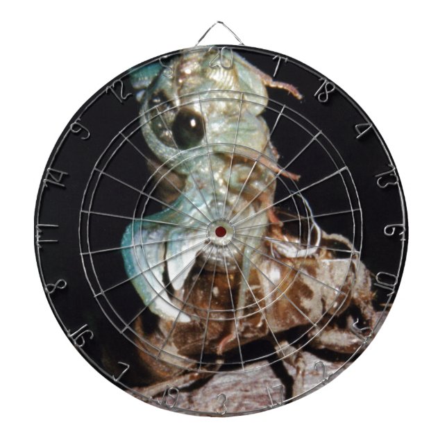 Cicada Dartboard (Front)