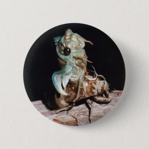 Cicada Emerging from Shell 6 Cm Round Badge