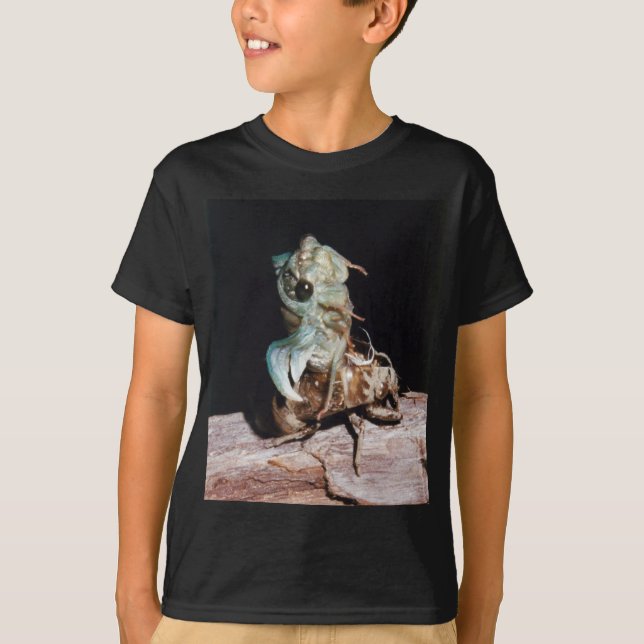 Cicada Emerging from Shell T-Shirt (Front)