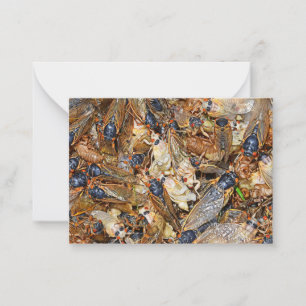 Cicada Invasion Card