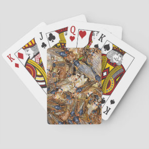 Cicada Invasion Playing Cards