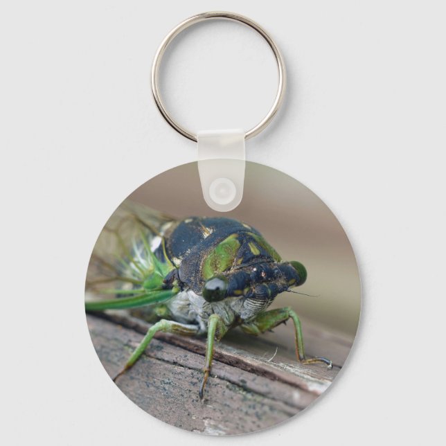 Cicada Key Ring (Front)