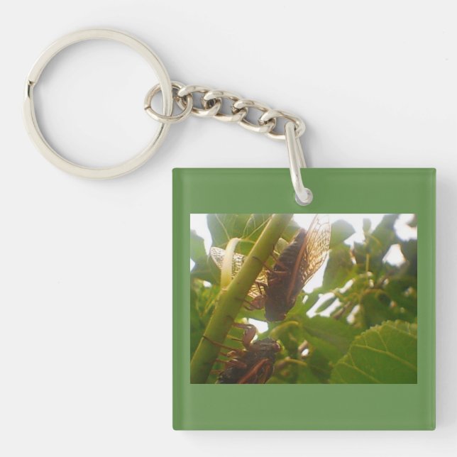 Cicada Locust Key Ring (Front)