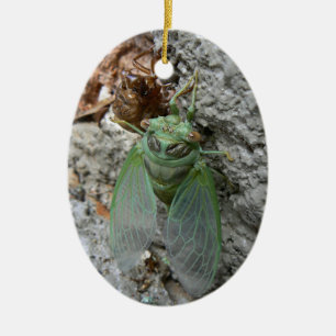 Cicada on the Wall Ceramic Tree Decoration