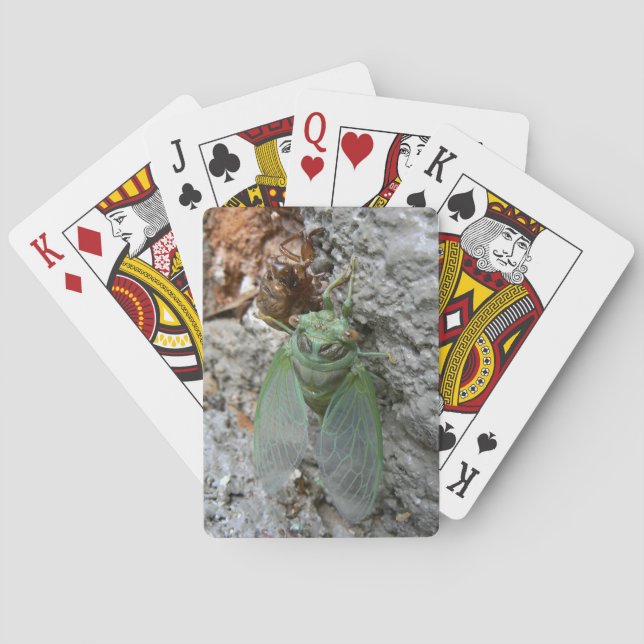 Cicada on the Wall Playing Cards (Back)