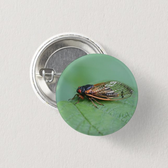 Cicada Photo 3 Cm Round Badge (Front & Back)