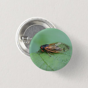 Cicada Photo 3 Cm Round Badge