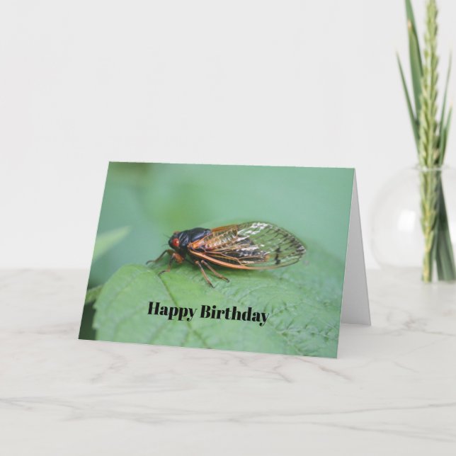 Cicada Photo Birthday Card (Front)