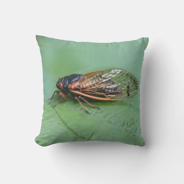 Cicada Photo Cushion (Front)