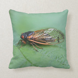 Cicada Photo Cushion