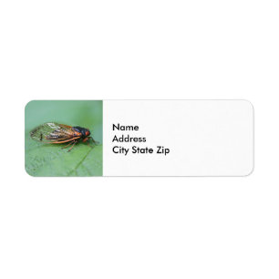 Cicada Photo Return Address Label