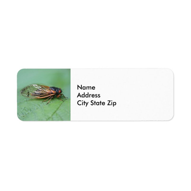Cicada Photo Return Address Label (Front)