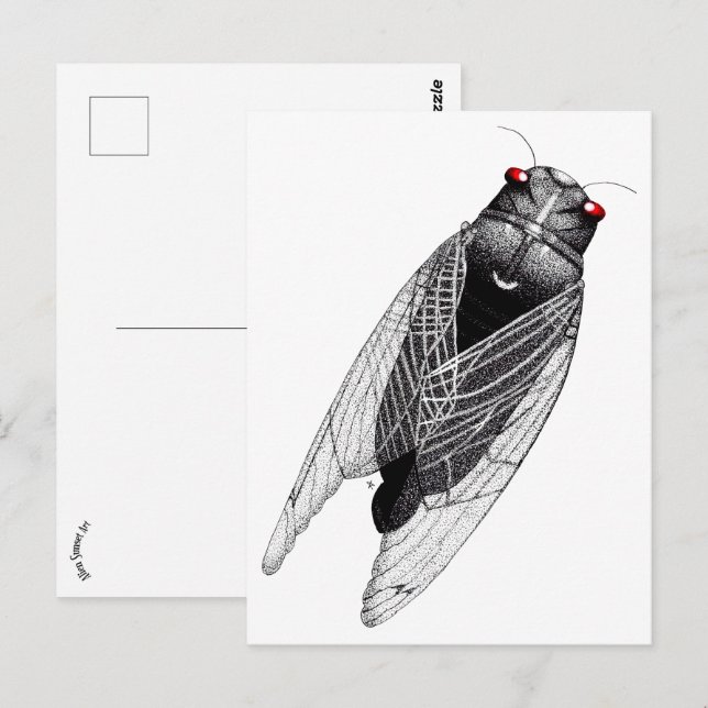 Cicada Postcard (Front/Back)
