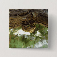 Cicada shell. It was in a hurry.