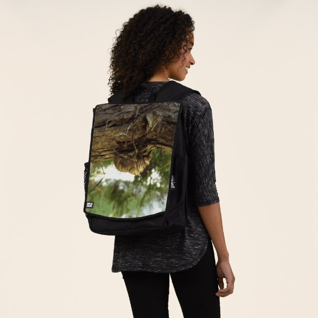 Cicada shell. It was in a hurry. Backpack (Worn)