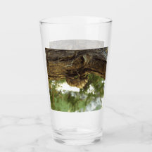 Cicada shell. It was in a hurry.