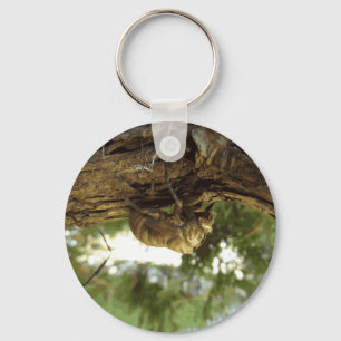 Cicada shell. It was in a hurry. Key Ring