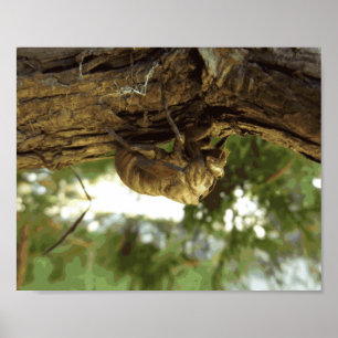 Cicada shell. It was in a hurry. Poster
