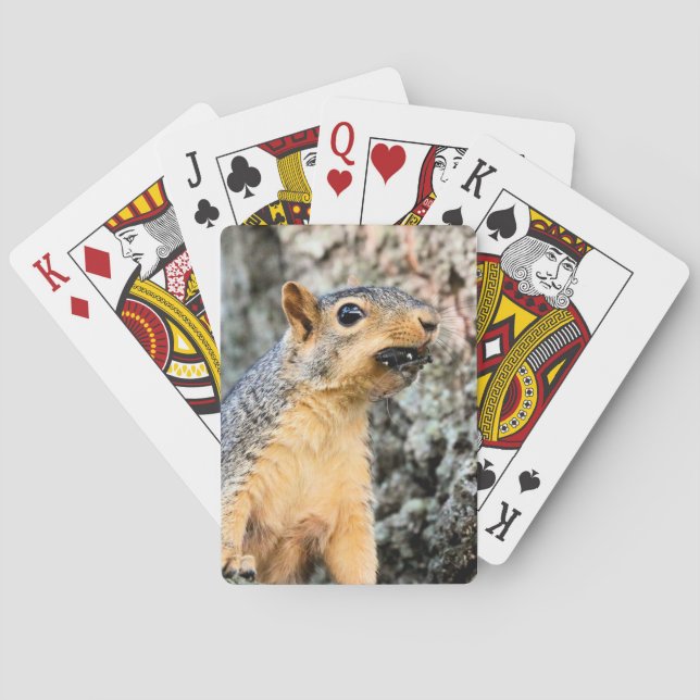 Cicada snacker playing cards (Back)