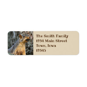 Cicada Snacker Return Address Label