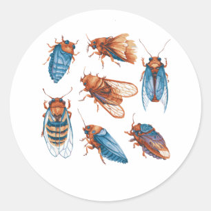 Cicadapocalypse Cicadas Funny Cicadas Insect Bug Classic Round Sticker