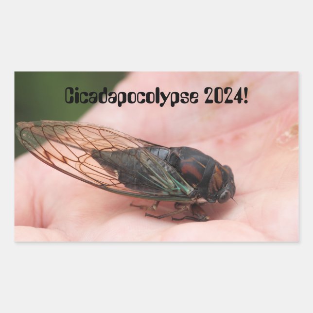 Cicadapocolypse 2024 rectangular sticker (Front)
