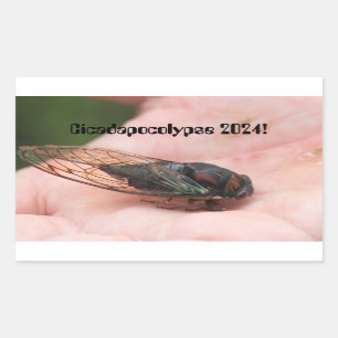 Cicadapocolypse 2024 rectangular sticker