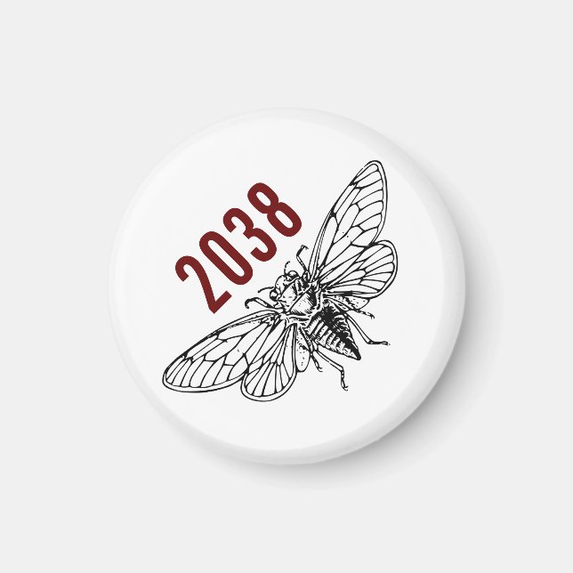 Cicadas 2038 magnet (Front)
