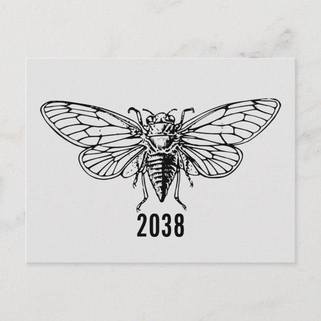 Cicadas 2038 postcard (Front)