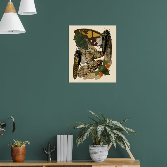 Cicadas Insects Vintage 1929 Illustrations Poster (Living Room 1)