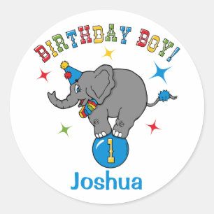 Cicus Elephant 1st Birthday Classic Round Sticker