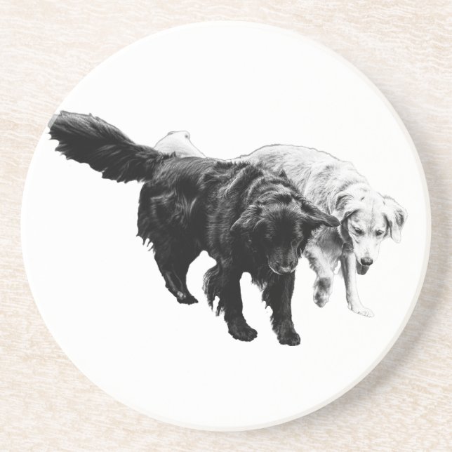 Cider Nights Together Coaster (Front)