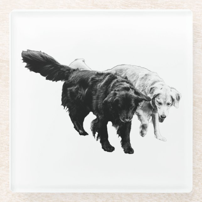 Cider Nights Together Glass Coaster (Front)