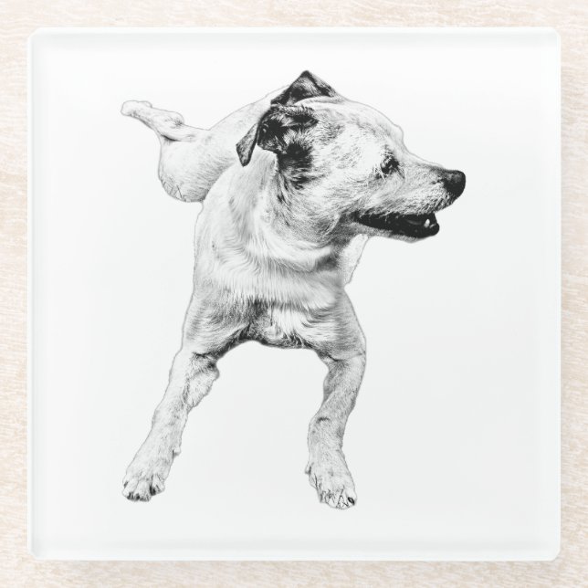 Cider Table, Cheerful Pivot Glass Coaster (Front)