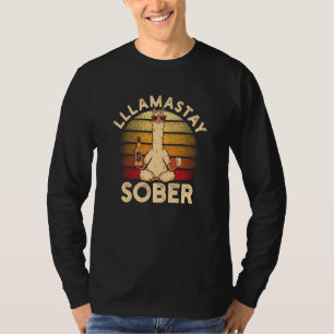 Cigar Whiskey Guns And Freedom For Patriotic Ameri T-Shirt