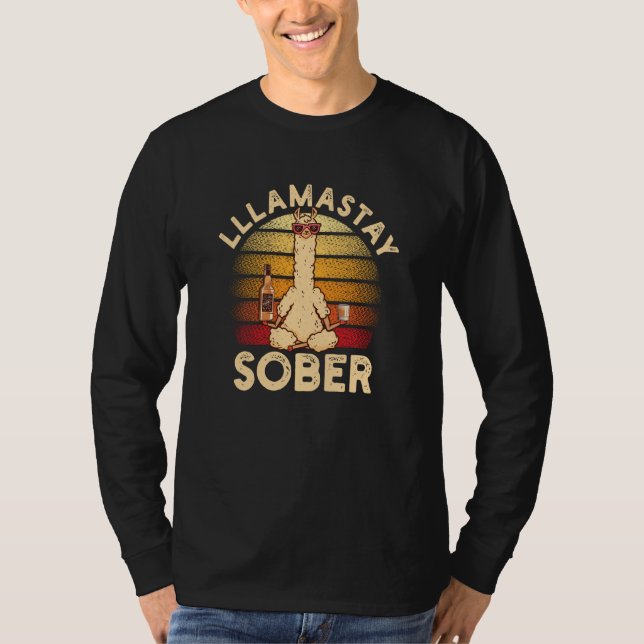 Cigar Whiskey Guns And Freedom For Patriotic Ameri T-Shirt (Front)