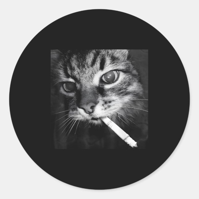 Cigarette Kitten Funny Smoking Cat Meme Stud Brain Classic Round Sticker (Front)