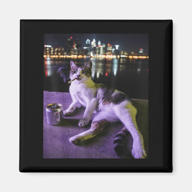 Cigarette Kitten Funny Smoking Cat Meme Stupid Bra Magnet (Front)