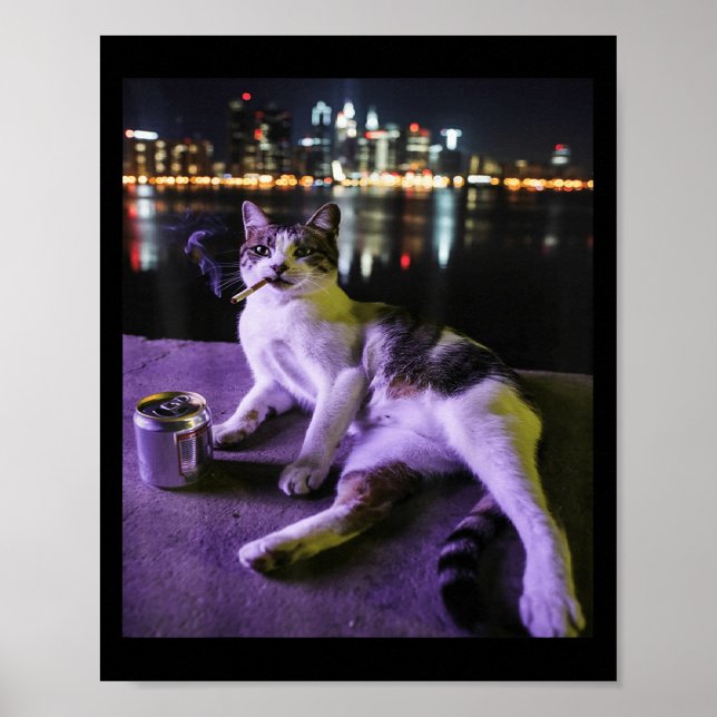 Cigarette Kitten Funny Smoking Cat Meme Stupid Bra Poster (Front)