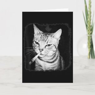 Cigarette Kitten Gang Cat Smoking Cigarette Funny  Card