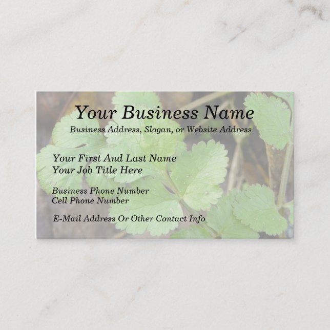 Cilantro Business Card (Front)