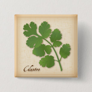 Cilantro Herb 15 Cm Square Badge