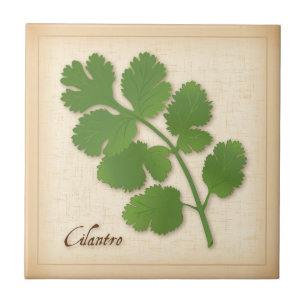 Cilantro Herb Ceramic Tile