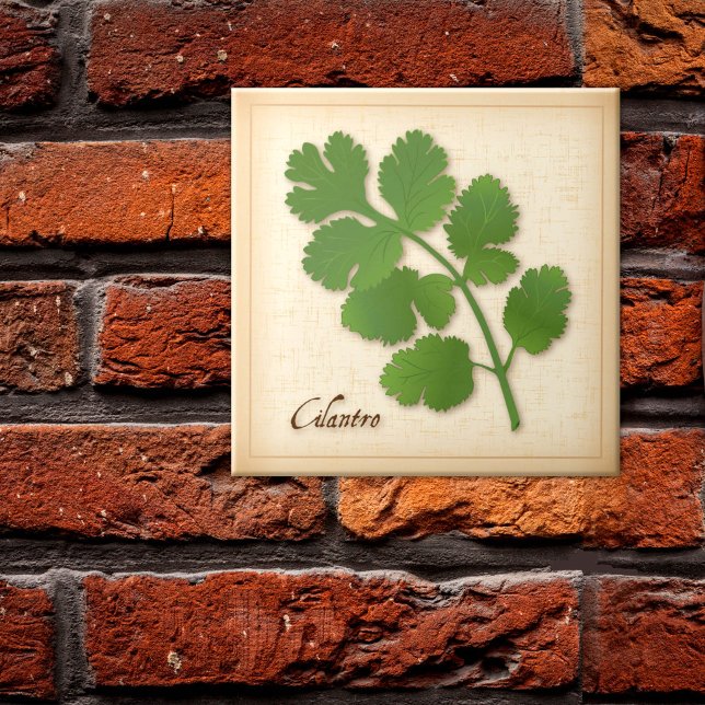 Cilantro Herb Ceramic Tile (Cilantro Herb Ceramic Tile, aromatic leaves with a distinctive flavor. )