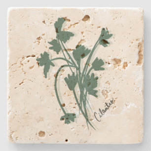 Cilantro Herb Garden Coriander Hand Drawn Stone Coaster