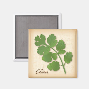 Cilantro Herb Magnet
